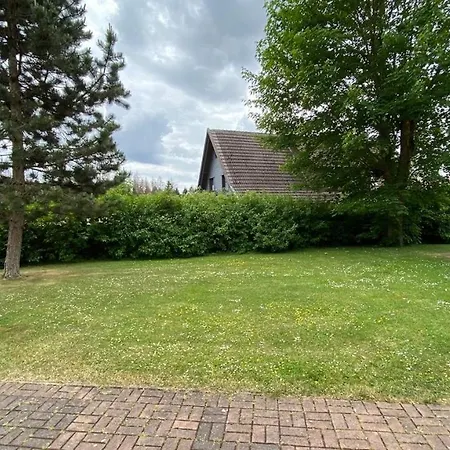 Blauvogel Blauvogel 052 Hasselfelde