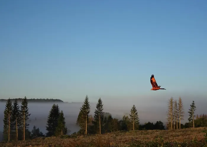 Blauvogel Blauvogel 052